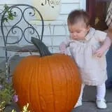 Hilly Lane Pumpkins photo