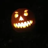Hilly Lane Pumpkins photo