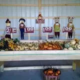 Hilly Lane Pumpkins photo