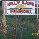 Hilly Lane Pumpkins photo