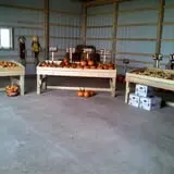 Hilly Lane Pumpkins photo