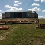 Hilly Lane Pumpkins photo