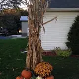 Hilly Lane Pumpkins photo