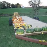 Hilly Lane Pumpkins photo