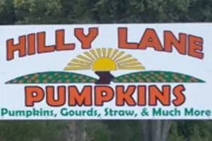 Hilly Lane Pumpkins