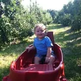 Honey Pot Hill Orchard photo