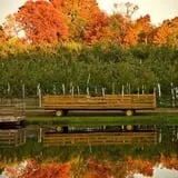 Honey Pot Hill Orchard photo