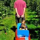 Honey Pot Hill Orchard photo