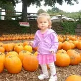 Honey Pot Hill Orchard photo