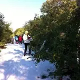 Honey Pot Hill Orchard photo
