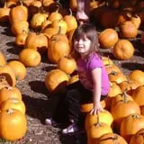 Honey Pot Hill Orchard photo