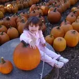 Honey Pot Hill Orchard photo