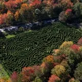 Honey Pot Hill Orchard photo