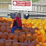 Honey Pot Hill Orchard photo