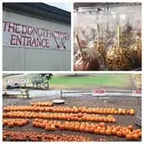 Honey Pot Hill Orchard photo