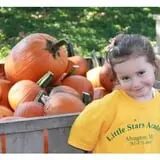 Honey Pot Hill Orchard photo