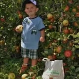 Honey Pot Hill Orchard photo