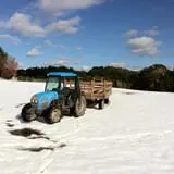 Honey Pot Hill Orchard photo
