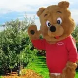 Honey Pot Hill Orchard photo
