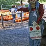 Honey Pot Hill Orchard photo