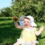 Honey Pot Hill Orchard photo