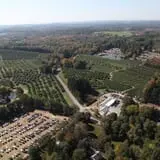 Honey Pot Hill Orchard photo