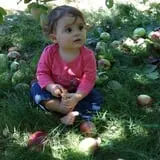 Honey Pot Hill Orchard photo