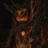 Legends of Fear - Fairview Tree Farm photo