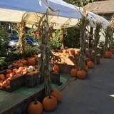 The Patch @ Whalen Oaks Farm photo