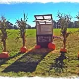 The Patch @ Whalen Oaks Farm photo