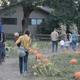 The Patch @ Whalen Oaks Farm photo