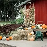 The Patch @ Whalen Oaks Farm photo