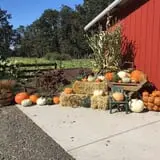 The Patch @ Whalen Oaks Farm photo