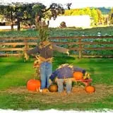 The Patch @ Whalen Oaks Farm photo