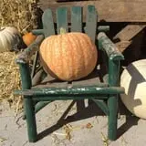 The Patch @ Whalen Oaks Farm photo