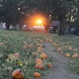 The Patch @ Whalen Oaks Farm photo