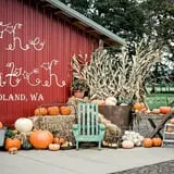 The Patch @ Whalen Oaks Farm photo