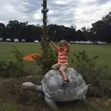 Magnolia Wilds Pumpkin Patch & Fall Fun photo