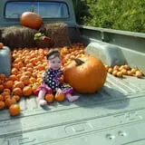 Magnolia Wilds Pumpkin Patch & Fall Fun photo