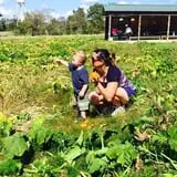 Magnolia Wilds Pumpkin Patch & Fall Fun photo