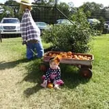 Magnolia Wilds Pumpkin Patch & Fall Fun photo