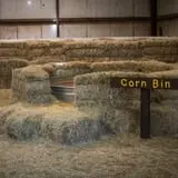 Cornerstone Kids' Ranch photo