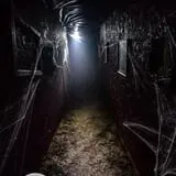 Bonadeo Farms - Full Moon Haunted House photo