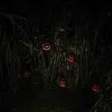 Bonadeo Farms - Full Moon Haunted House photo