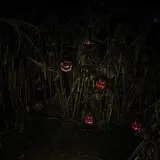 Bonadeo Farms - Full Moon Haunted House photo