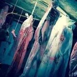 Bonadeo Farms - Full Moon Haunted House photo