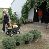 Pumpkins Etc photo