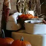 Pumpkins Etc photo