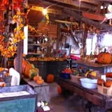 Pumpkins Etc photo