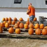 Pumpkins Etc photo